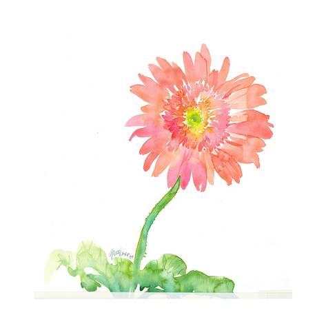 473x473 Pink Watercolor Gerbera Daisy On Curved Stem Posters