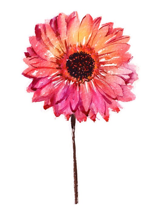 525x700 Watercolor Flower Gerbera Sticker We Live To Change
