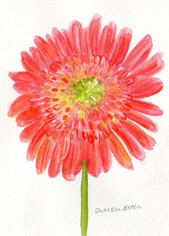 570x795 Watercolor Painting Gerbera Daisies Watercolor, Yellow And Orange