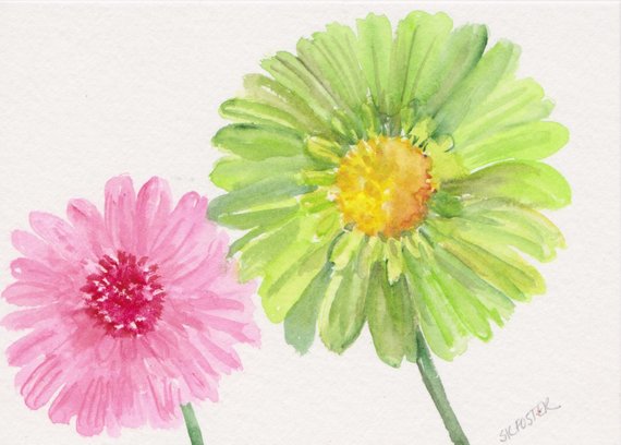 Gerbera Daisy Watercolor at GetDrawings | Free download