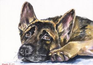 300x209 German Shepherd Print Of The Original Watercolor Painting Puppy