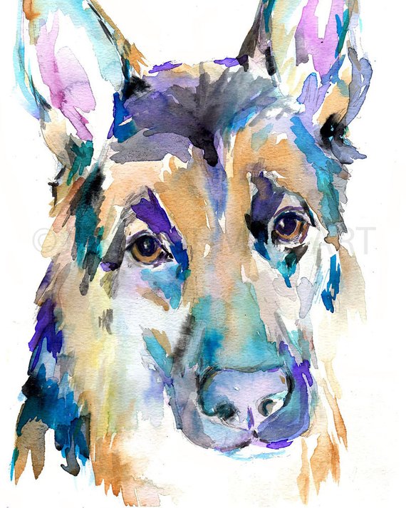 570x713 German Shepherd Watercolor Print Dog Watercolor Painting Dog Etsy