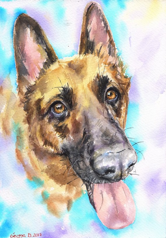 570x816 German Shepherd Watercolor Original Painting Art Beautiful Etsy