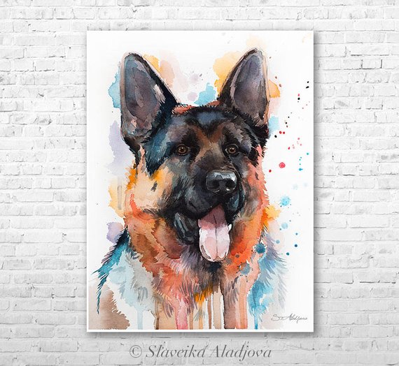 570x524 German Shepherd Watercolor Painting Print By Slaveika Etsy