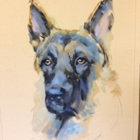 480x480 Step By Step German Shepherd Paint. Draw. Blend.