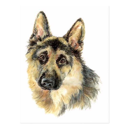 540x540 Watercolor German Shepherd Pet Dog Animal Postcard