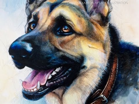 480x360 Watercolor And Colored Pencil Gsd Speed Painting By Ch.karron