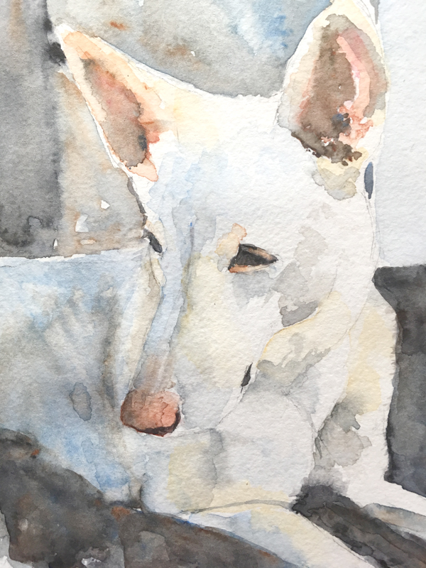 600x800 White German Shepherd Watercolor Painting