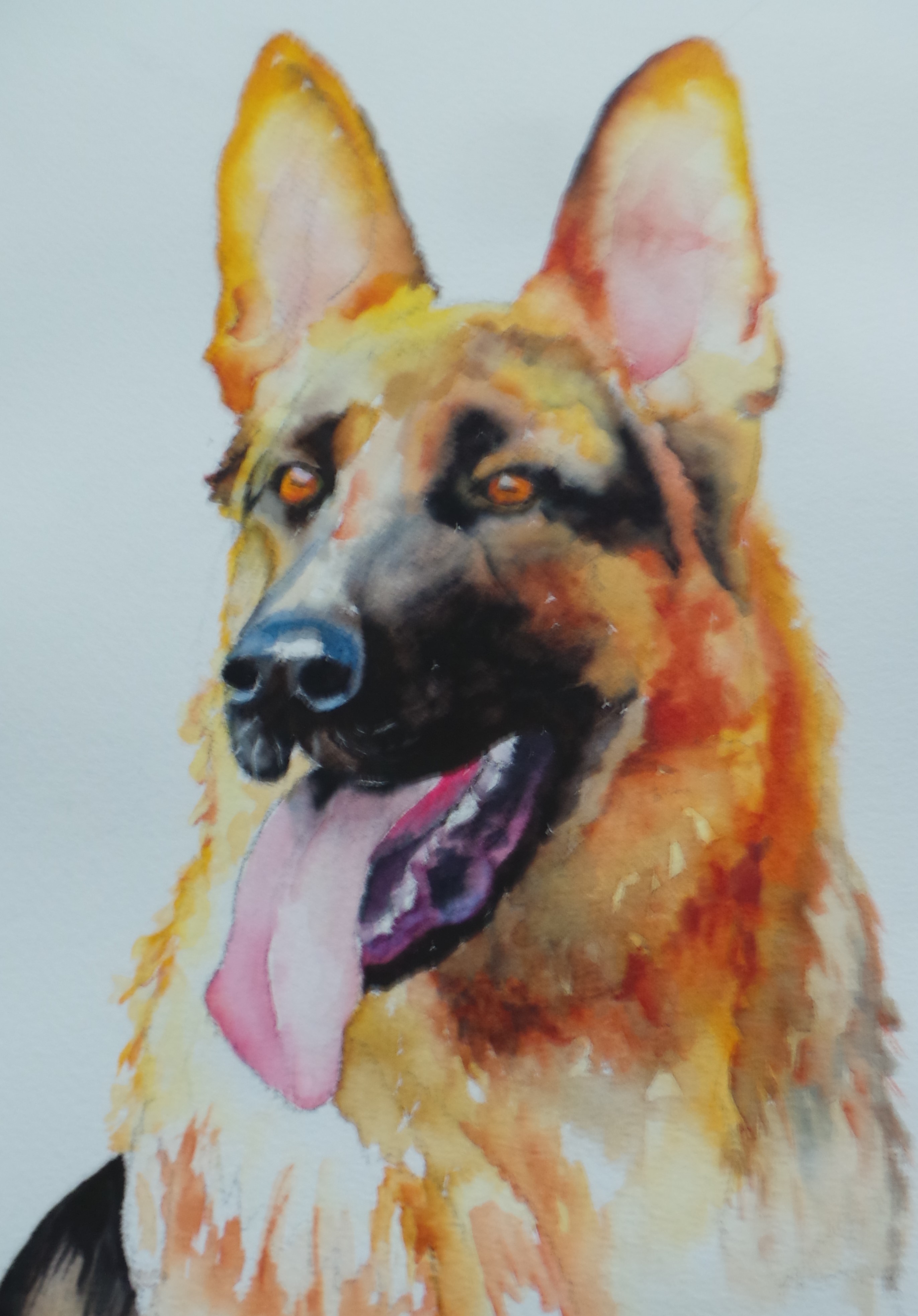 2743x3931 The Regal German Shepherd Annette Bennett Watercolor Art