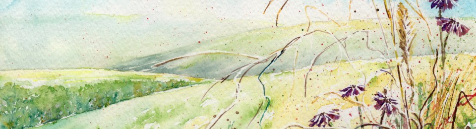 960x260 Gimp Watercolor 365