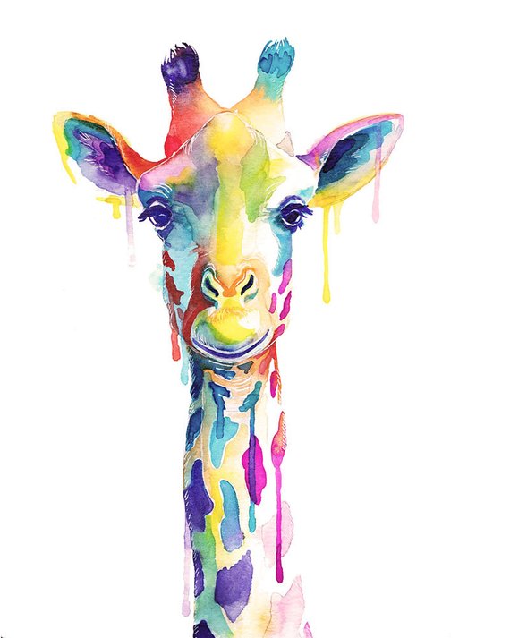 570x713 Colorful Giraffe Watercolor Print Wild Animals Wall Art Etsy