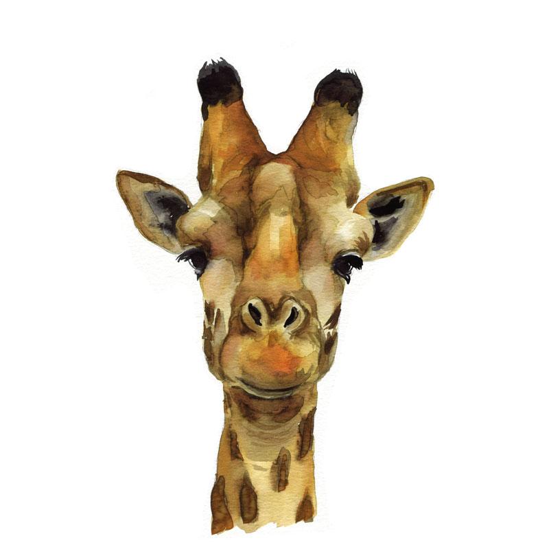 800x800 Giraffe Watercolor Paint Kit