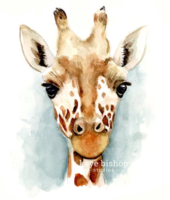 570x669 Giraffe Watercolor Painting Jungle Animal Art Animal Wall Etsy