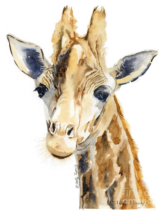 707x900 Giraffe Watercolor Painting By Melly Terpening