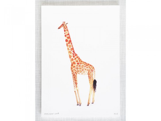 560x420 Giraffe Watercolor Print By Mary Amp The Locks