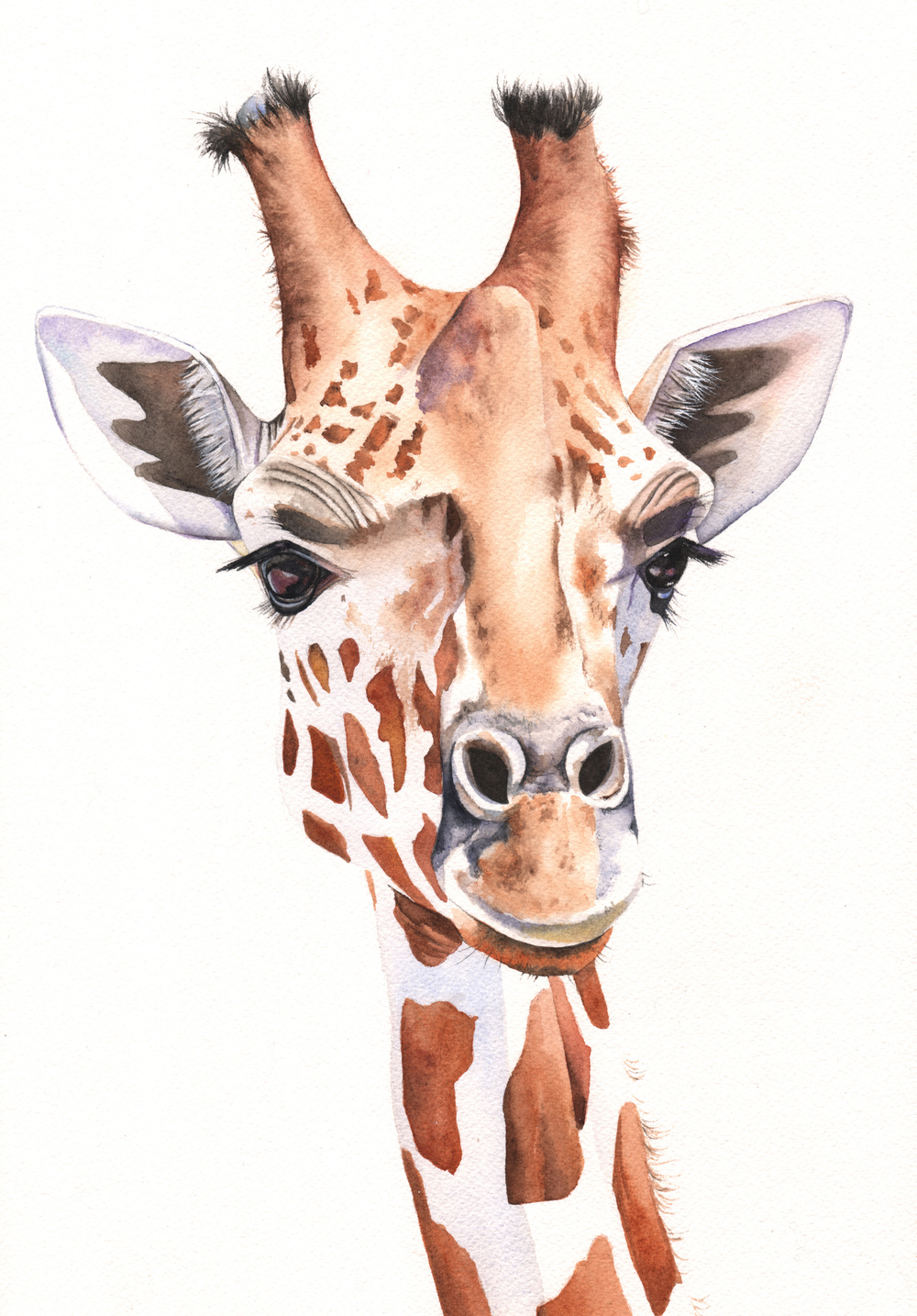 1000x1434 Giraffe Louise De Masi