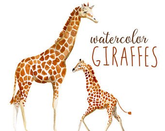 340x270 Watercolor Giraffe Etsy