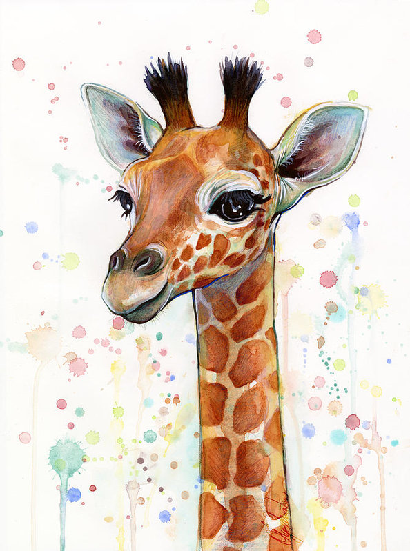 594x799 Baby Giraffe Watercolor Art Print By Olga Shvartsur