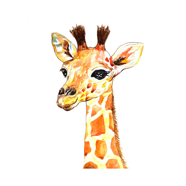 630x630 Baby Giraffe