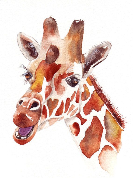 570x759 Giraffe Original Watercolor Painting Amazing.art