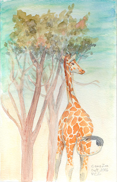 400x623 Giraffe Plein Air Watercolor Painting Rachelle Skinner