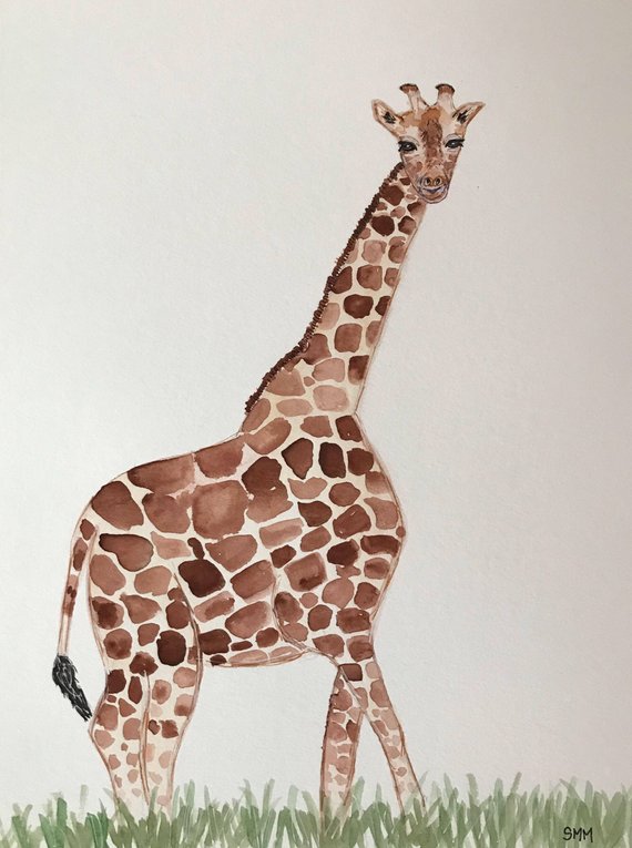 570x765 Giraffe Watercolor Painting Etsy