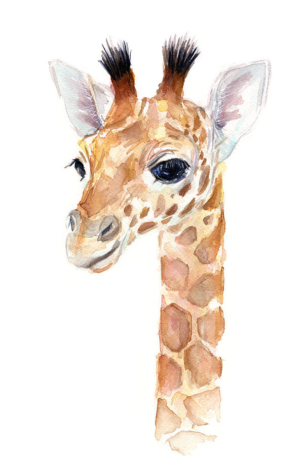 596x900 Giraffe Watercolor Painting By Olga Shvartsur