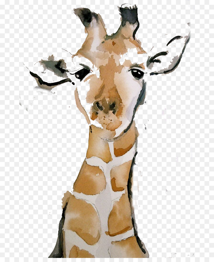 900x1100 Giraffe Watercolor Painting Drawing Chinese Painting