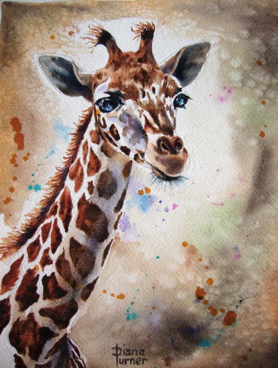 570x754 Giraffe Watercolor Paintings Original Limited Edition Quality