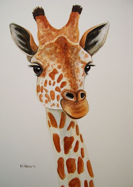 455x640 Giraffe Portrait In Watercolour Hayvan Tablolar
