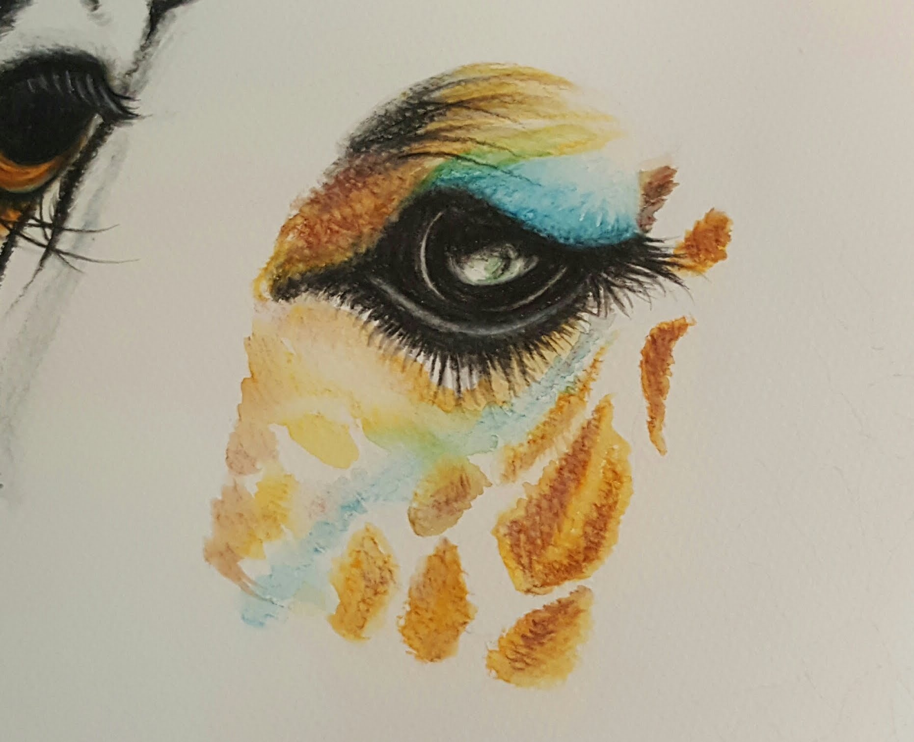 1862x1513 Drawing A Giraffe Eye With Watercolor Pencils How To Draw