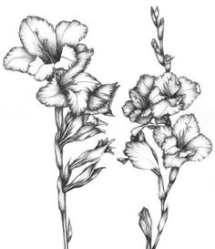 Gladiolus Watercolor Tattoo
