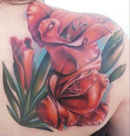 500x526 Gladiolus Tattoo