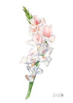 236x332 Pretty Gladiolus Hankie. Seasons Spring Gladioli