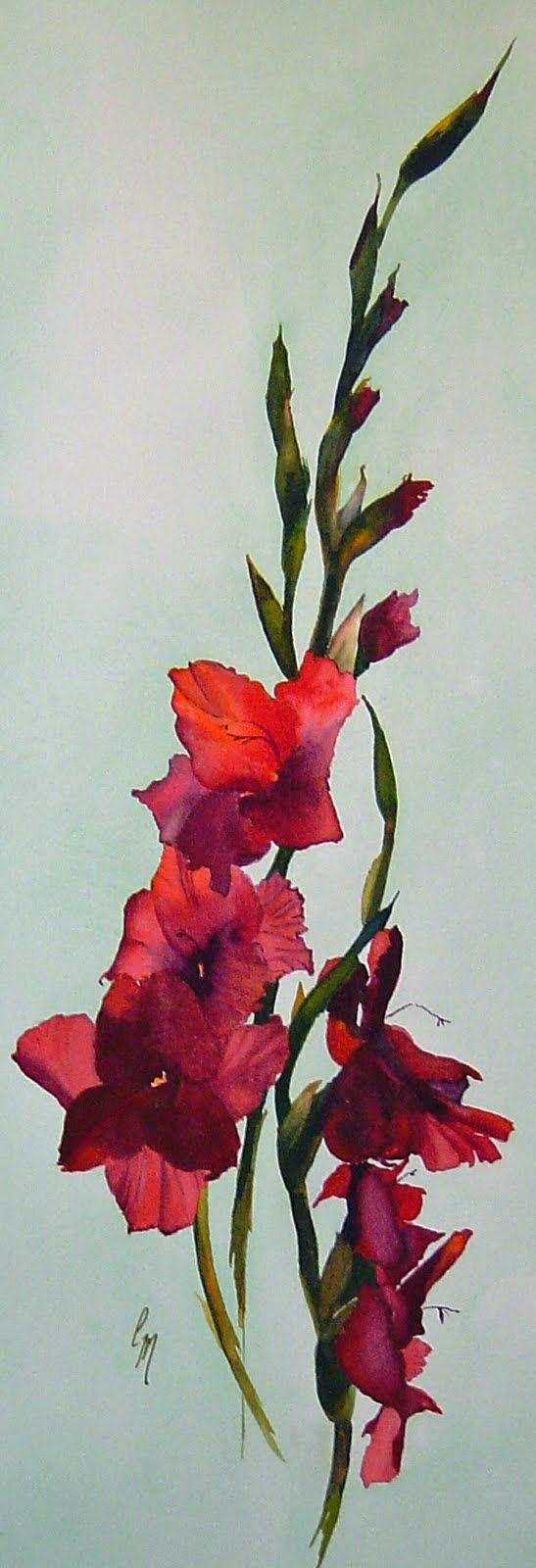 547x1600 Watercolor Gladiolus, This Is Perfect! Want This For My Grandma