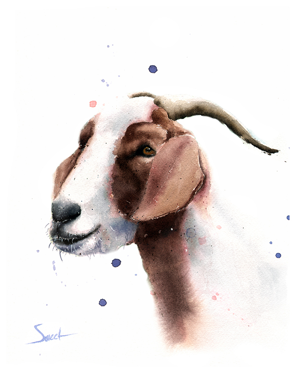 600x756 Goat Watercolor Print Watercolor Animal Paintings