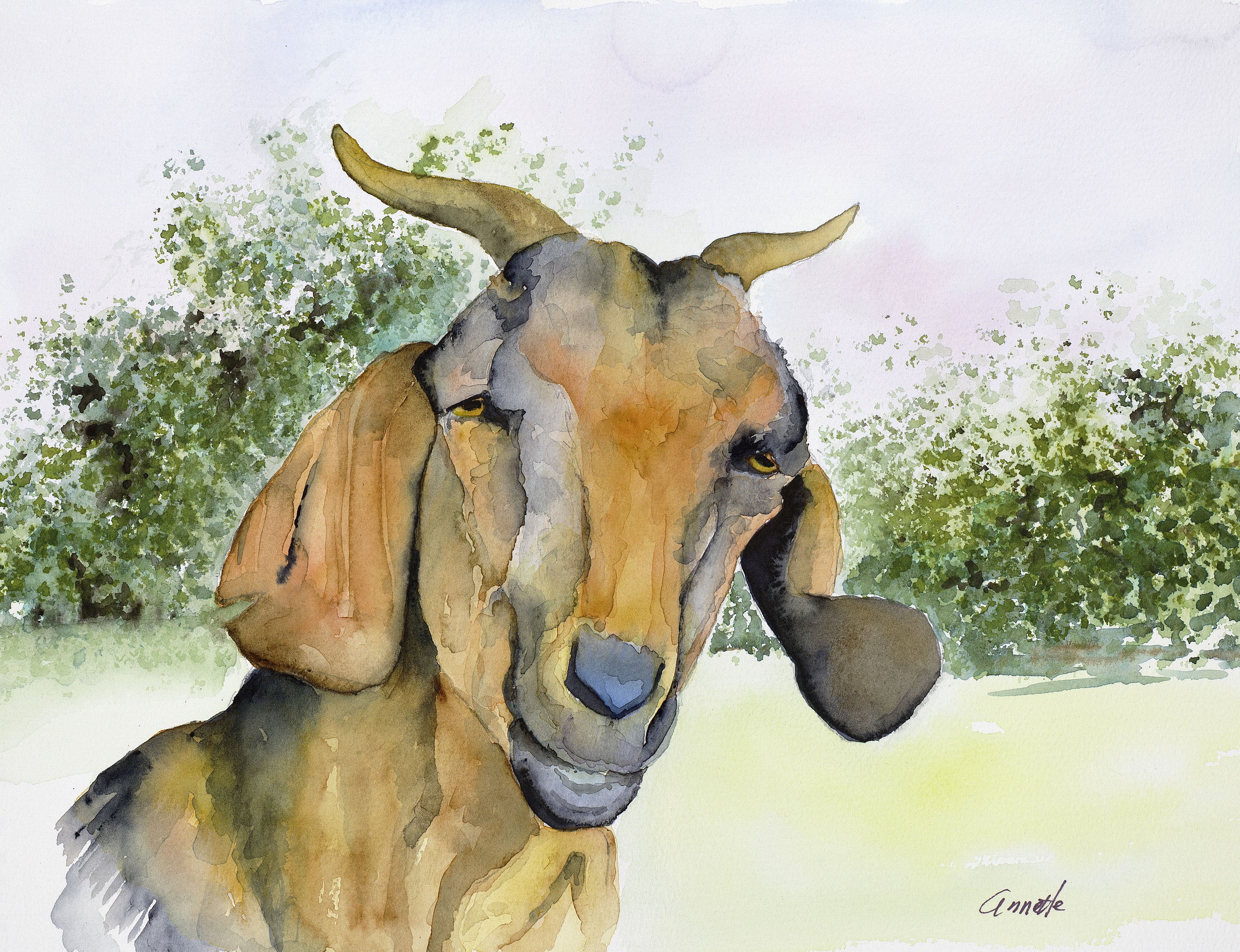 3000x2304 Goat Watercolor Painting Original Art Print Animal Art Etsy