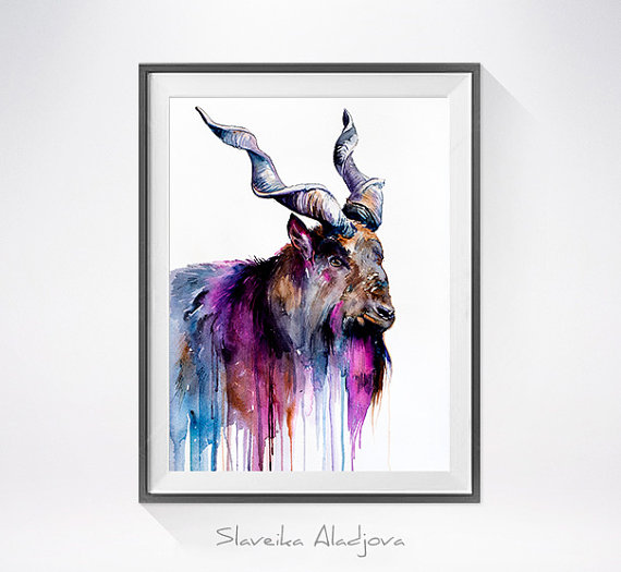 570x525 Goat Watercolor Painting Print