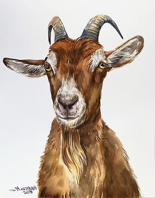 The best free Goat watercolor images. Download from 94 free watercolors ...