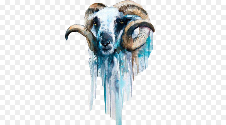 900x500 Sheep Goat Watercolor Painting Art