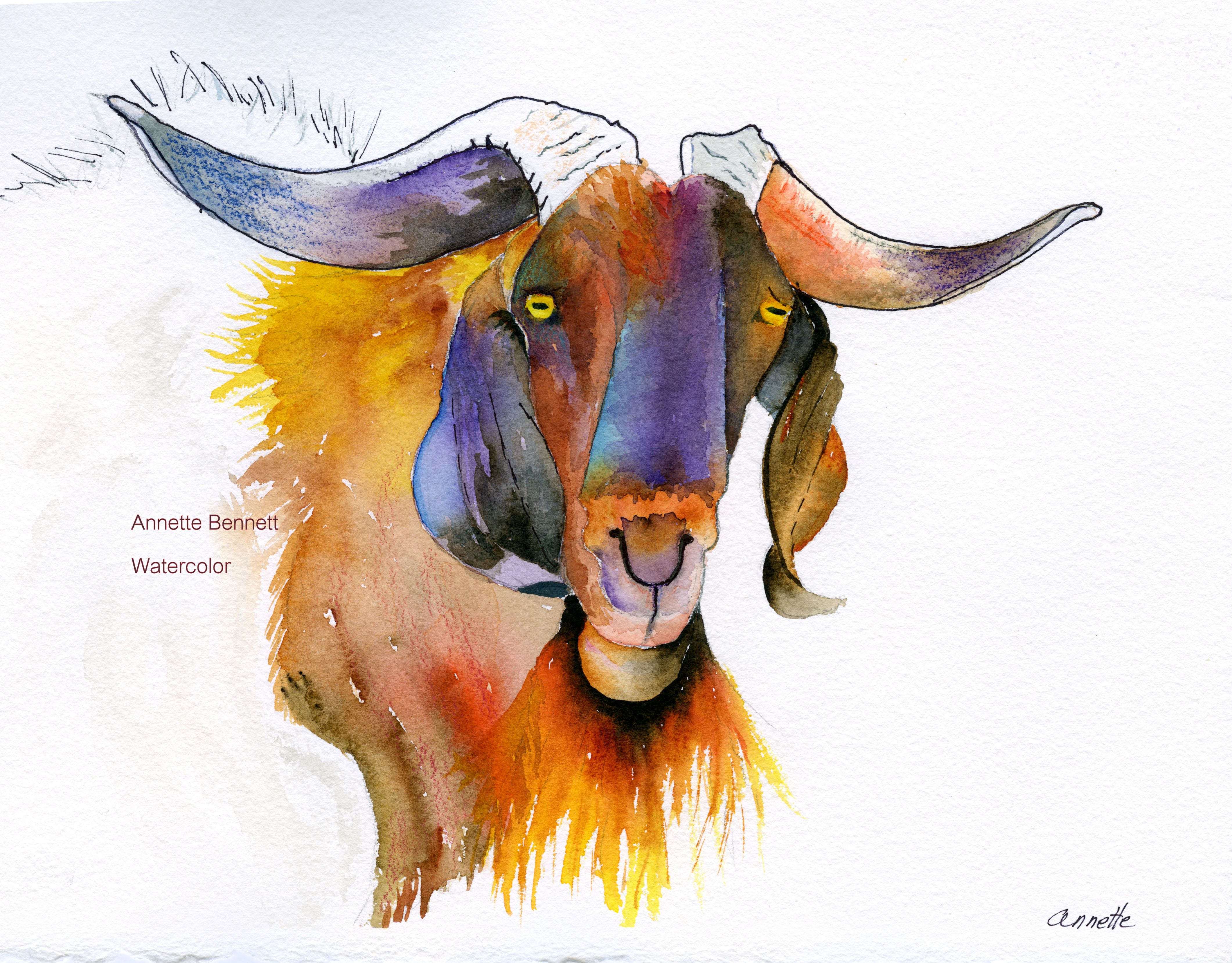 4243x3319 Goat Annette Bennett Watercolor Art