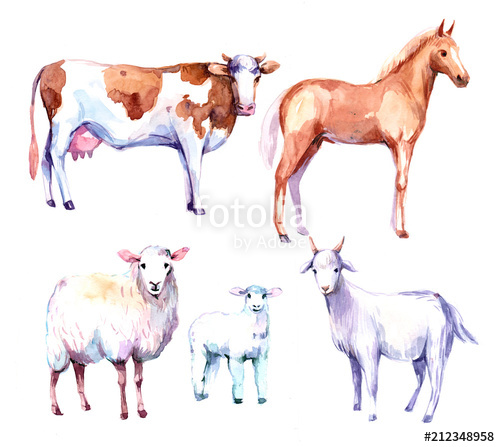 500x447 Farm Animals. Cow, Horse, Sheep, Goat. Watercolor Illustration