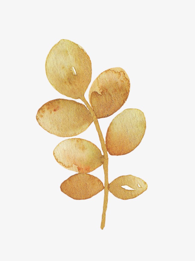 650x870 Gold Leaf, Hand Painted, Watercolor, Beautiful Png Image And