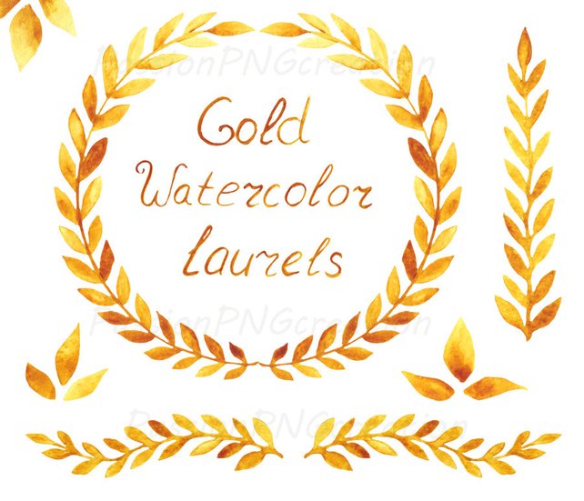 642x551 Gold Watercolor Laurels Hand Drawn Transparent Background Etsy