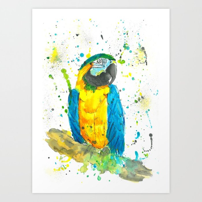 700x700 Blue Amp Gold Macaw