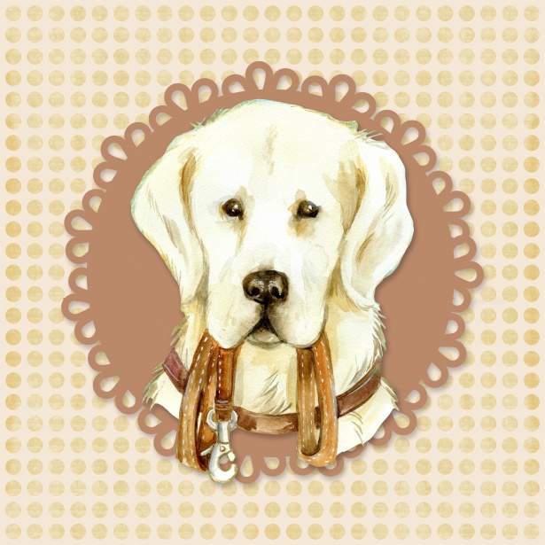 615x615 Golden Retriever Dog Watercolor Free Stock Photo