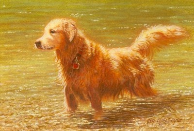 400x269 Golden Retriever Miniature Watercolor Painting