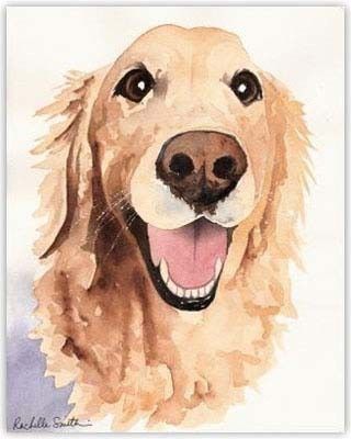 320x400 Golden Retriever Water Color Paintings