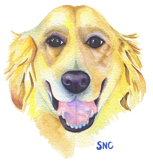 510x550 Happy Golden Retriever Watercolor Painting