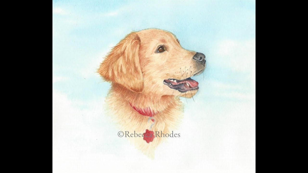 1280x720 How To Paint A Realistic Golden Retriever Puppy In Watercolor